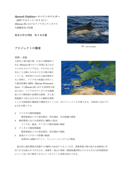 詳しくはPDFにてご覧いただけます。（PDF：222KB）