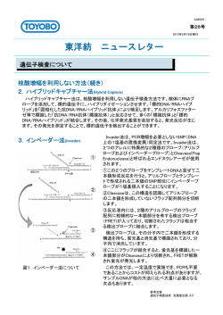 東洋紡 ニュースレター