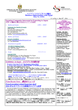 エジプトとのビジネスの機会 No.4 - アフリカビジネス振興サポート