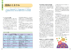 食肉のミネラル