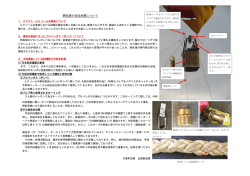 熱気球の安全対策について