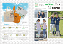 発売予定 01 03 02
