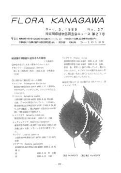 27号（1989年12月 5日発行 pdfファイル 10.7MB）