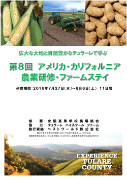 こちら