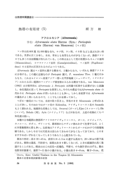 熱帯の有用材 (5)