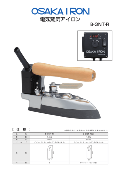 電気蒸気アイロン