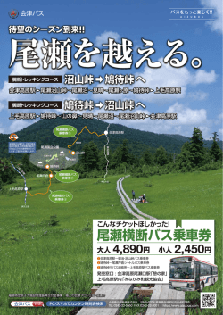 尾瀬横断バス乗車券