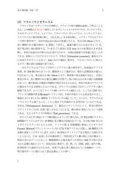 02-04-19） フウロソウとゼラニウム
