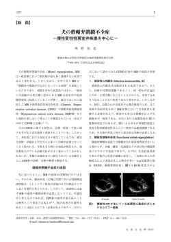 犬の僧帽弁閉鎖不全症