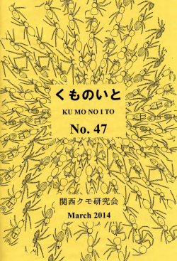 No. 47 - Not Found