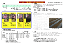 サツマイモ栽培マニュアル（H23年版）PDF