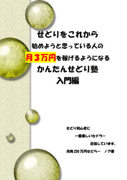 せどりをこれから かんたんせどり塾 入門編 - noah