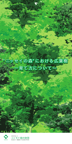 "ニッセイの森"における広葉樹 - 公益財団法人 ニッセイ緑の財団