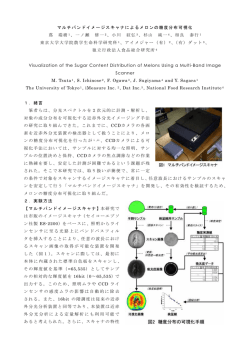 第19回非破壊計測シンポジウム講演要旨集, pp. 160-161