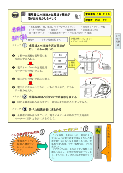 電解質の水溶液と金属板で電流が 取り出せるかしらべよう 実験 金属板と