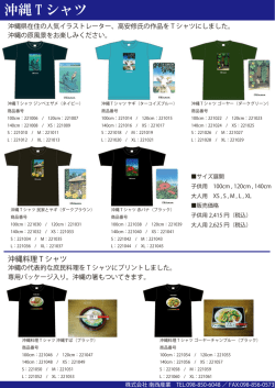 沖縄 T シャツ