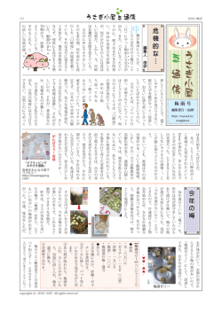 う さ ぎ 小 屋うさぎ小屋 豆豆 通 信 通 信 沖