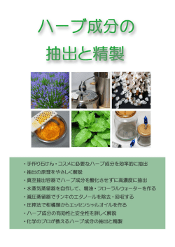 こちら