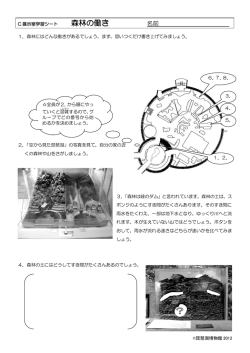 509KB - 琵琶湖博物館