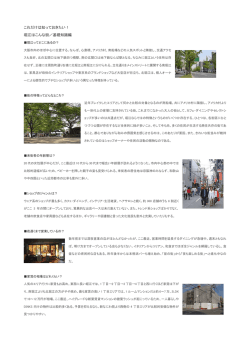 これだけは知っておきたい！ 堀江はこんな街／基礎知識編