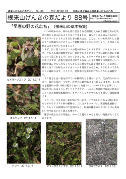 88号.cwk (DR)