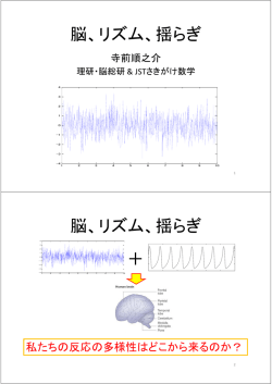 脳、リズム