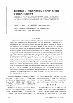 遺伝性肥満ラットの脂質代謝に及ぼす多価不飽和脂肪酸と大豆たん白質