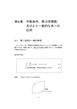 第6章 平衡条件、熱力学関数、 及びより一般的な系への 応用