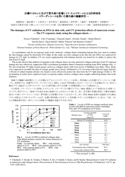 皮膚の DNA に及ぼす紫外線の影響と UV カット