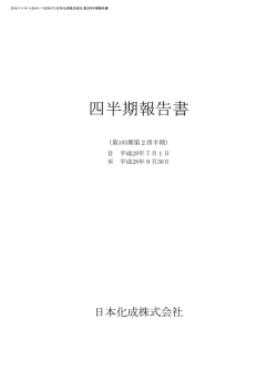 平成29年3月期 第2四半期報告書