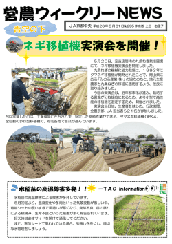 295号（平成28年05月31日）