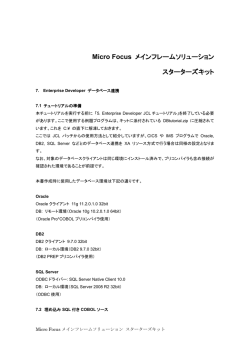 Micro Focus Enterprise Developer