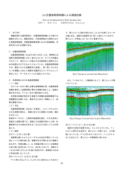 5.8 Note on the Quantitative Echo Sounder data (計量魚群探知機