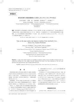 群馬県桐生市蛇留淵洞から産出したトラとニホンザル化石 Note on the