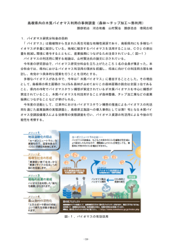 島根県内の木質バイオマス利用の事例調査（森林