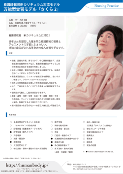 万能型成人実習モデル「さくら2」（KY11251-300）