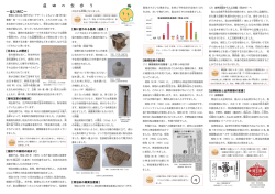 蓮田の梨（PDF：692KB）