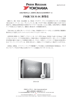 PDF版（200KB）