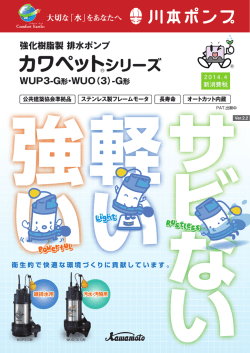 406カットを購入