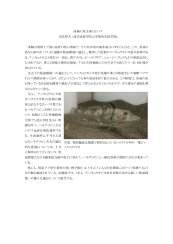 南極の魚は凍らない？ 岩見哲夫 (東京家政学院大学現代生活学部