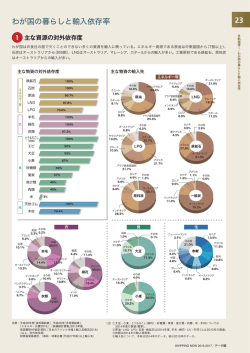 23 1 わが国の暮らしと輸入依存率
