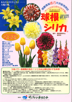 球根シリカ チラシ
