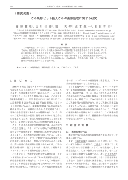 ごみ焼却ピット投入ごみの画像処理に関する研究