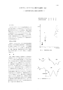 スギザイノタマバエに関する研究 (紅)
