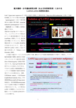 Lats1/Lats2研究の概要