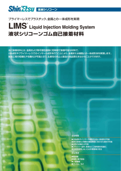 LIMS - Liquid Injection Molding System