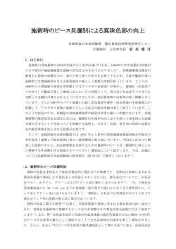 施術時のピース貝選別による真珠色彩の向上