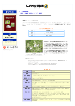 醤油の豆知識「甘味料」の説明 北伊醤油