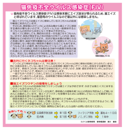 猫免疫不全ウイルス感染症(FIV)