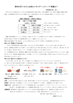 筋肉を育てるのに必要なエネルギーとタンパク質量は？